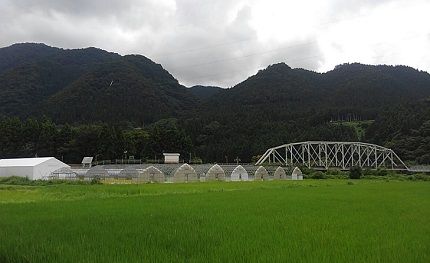 越美北線_九頭竜線a29