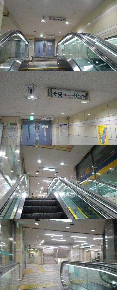 みやび10