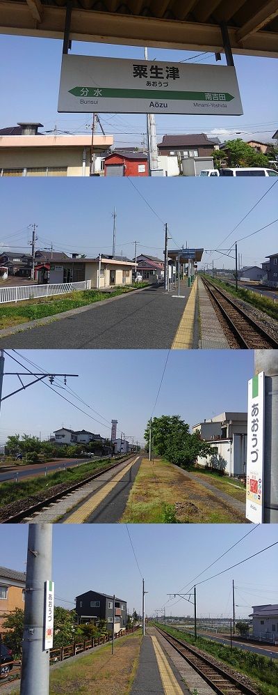 しいら02
