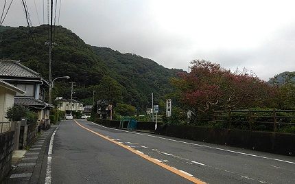 ミオ267