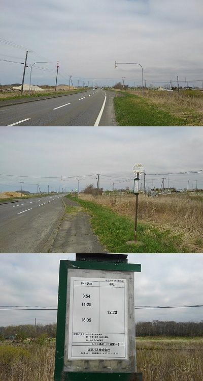 日高本線51
