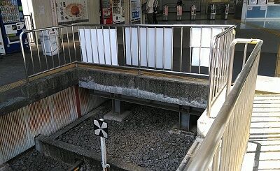 伊豆箱根鉄道大雄山線33