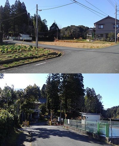 いすみ鉄道50