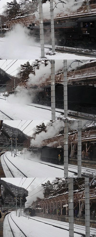 ヒメギ18