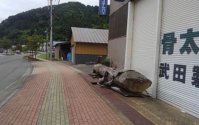 福井鉄道鯖浦線40