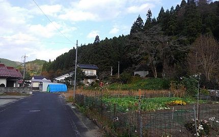 三江線b42