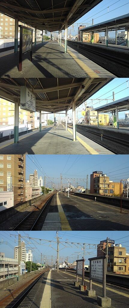 コヨイa29