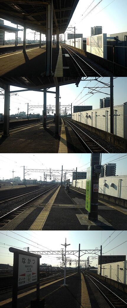 コヨイa22