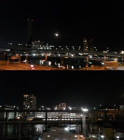 ゆりかもめ21