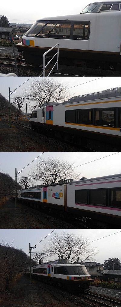 しいら24