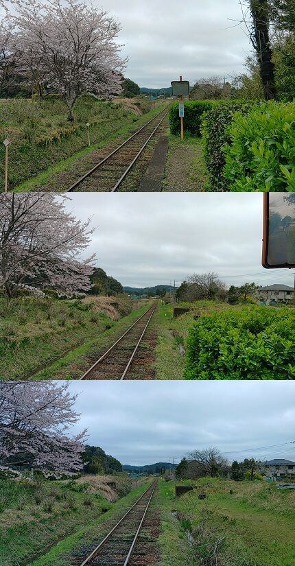 いすみ鉄道b80