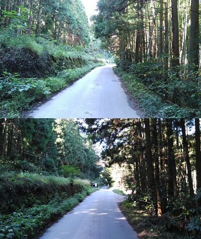 錦川鉄道a06