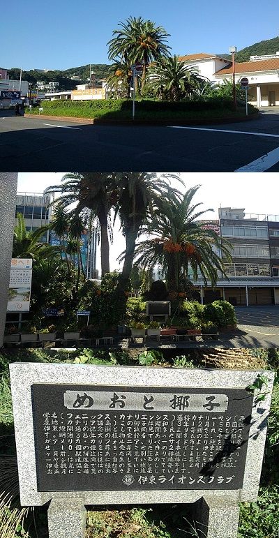 伊豆急行線a48