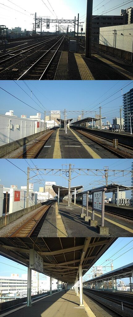 コヨイa23