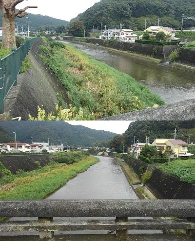 ミオ16
