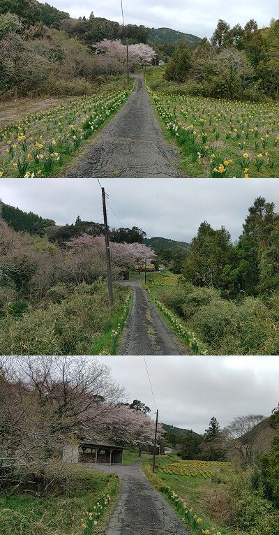 いすみ鉄道c20