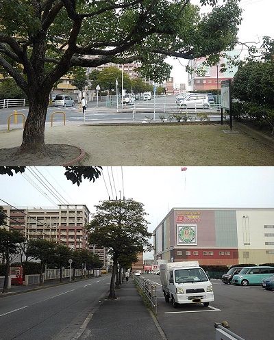 勝田線20
