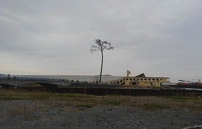 大船渡線29