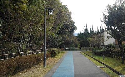 勝田線50