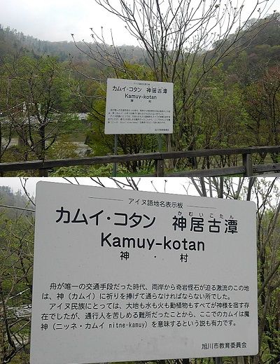 コタン17