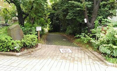 うららほこね44