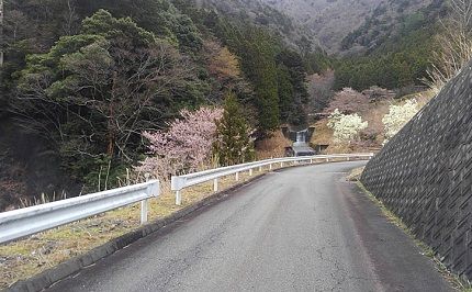 大井川鐵道井川線a55