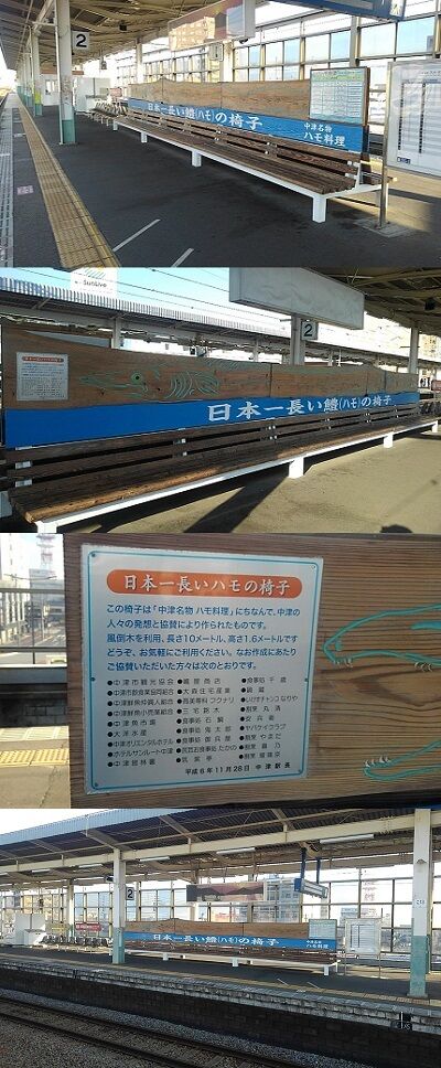 コヨイa17