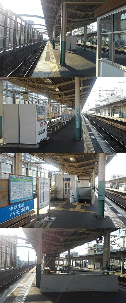 コヨイa20