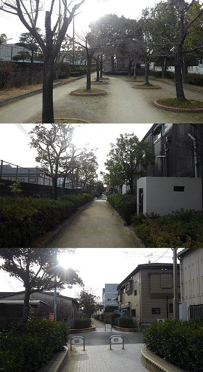 勝田線19