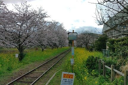 いすみ鉄道c54