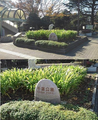チコ_マコ17