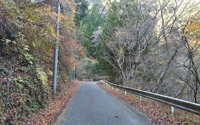 大井川鐵道井川線b50