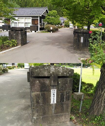 ひな65