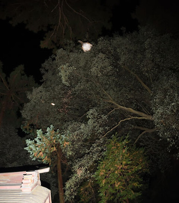 �ॵ����191231-1