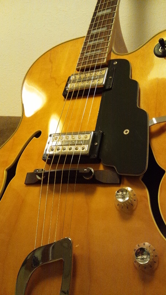 フルアコ【GUILD X-135 De Armond／デュアルモンド】ギルド エレアコ