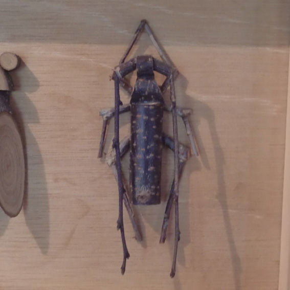 木ン虫シリーズ カミキリムシ 自然屋熊五郎の木枝クラフト