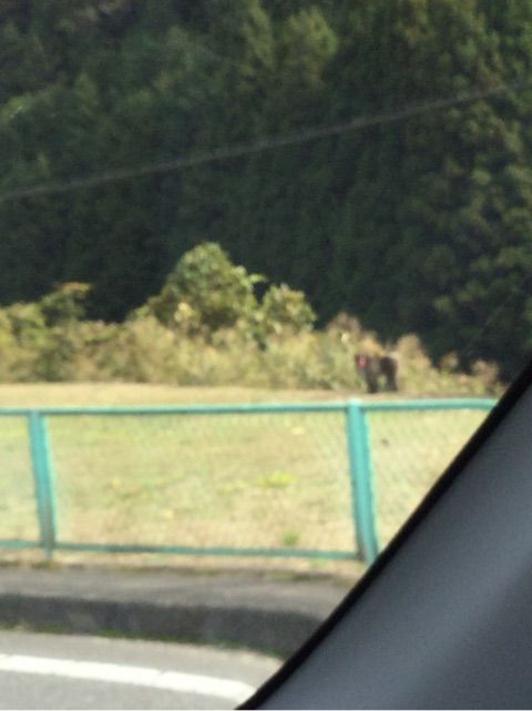 {06DB0932-9D60-448F-A5D5-B8F5CE3F7C5C}