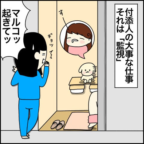 {7C8AA375-ACB7-425F-9B5E-FAD7633F89FD}