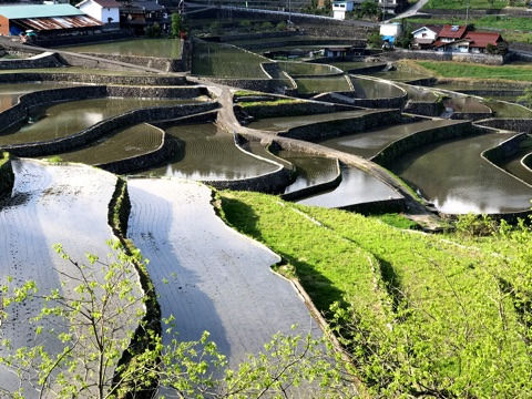 {5680ED77-AA73-4620-9E26-34E41DE7E41F}