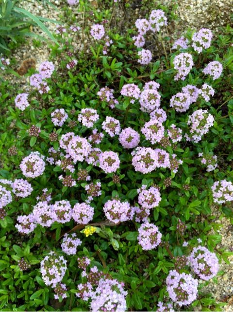 {BC67E02B-8AE7-4871-9289-D4D9F10259C6}