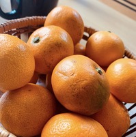 8FF567DB-21AE-462A-9DB7-A8713DE65B40