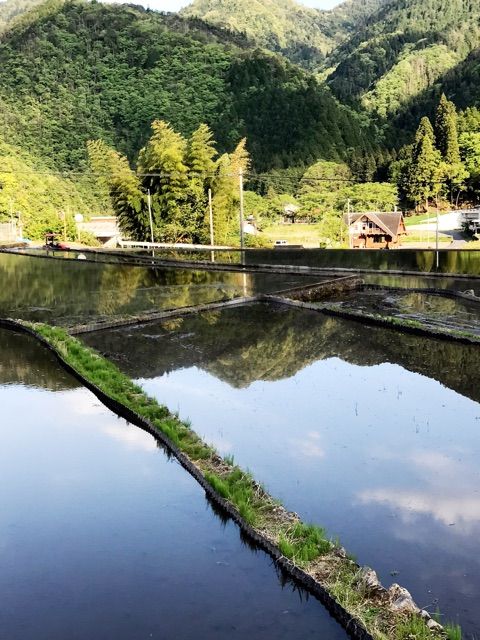 {1E1A9298-6418-412F-995B-B708D0471ADC}