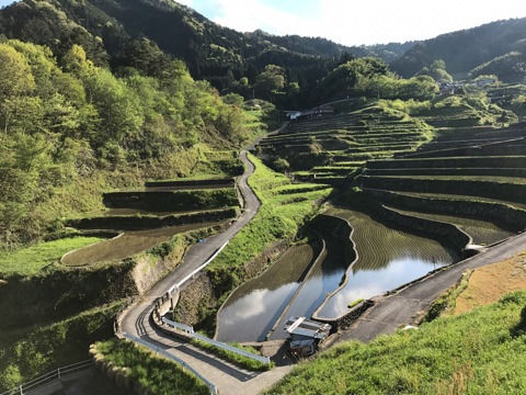 {1E77F3C9-6E4E-484F-AD30-41F807DAA1FD}