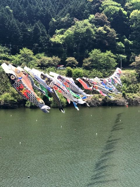 {3DD104D3-7068-40AC-BF99-68EDE37A4E3D}