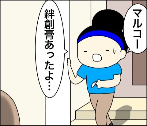 {17468453-DCB0-4090-B80A-28E018884BD7}