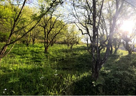 {3164812D-4E02-4BB3-A043-796449185ADE}