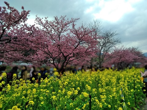 Point Blur_20190223_221708