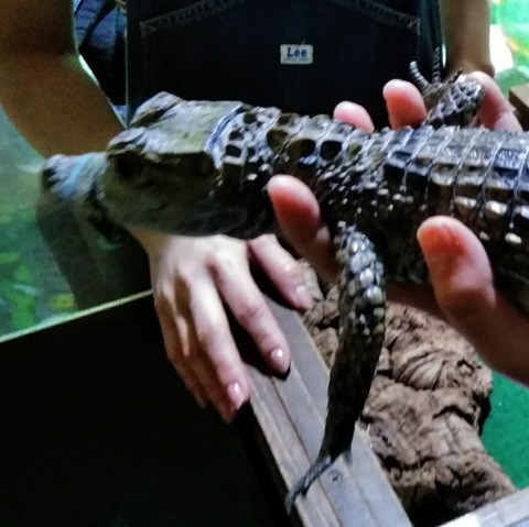 Point Blur_20190224_081903