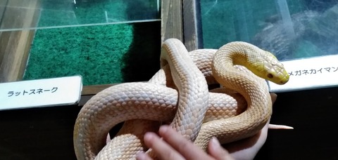 Point Blur_20190224_081940