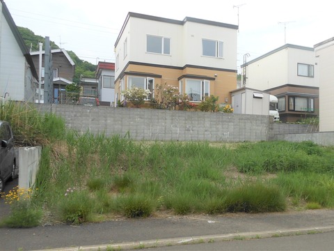 DSCN7931